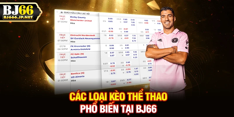 Các loại kèo thể thao phổ biến tại BJ66