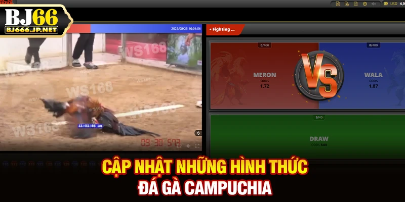Cập nhật những hình thức đá gà campuchia