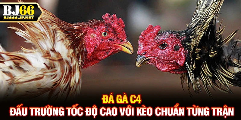 Đá gà C4 - Đấu trường tốc độ cao với kèo chuẩn từng trận