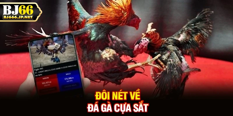 Đôi nét về đá gà cựa sắt