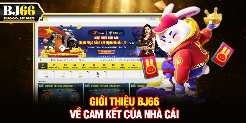 Giới thiệu BJ66 về cam kết của nhà cái