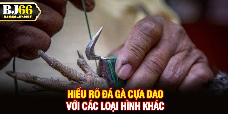 Hiểu rõ đá gà cựa dao với các loại hình khác
