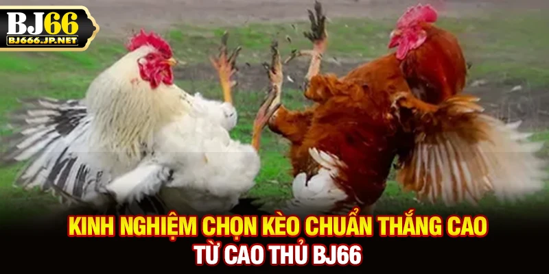 Kinh nghiệm chọn kèo chuẩn thắng cao từ cao thủ BJ66