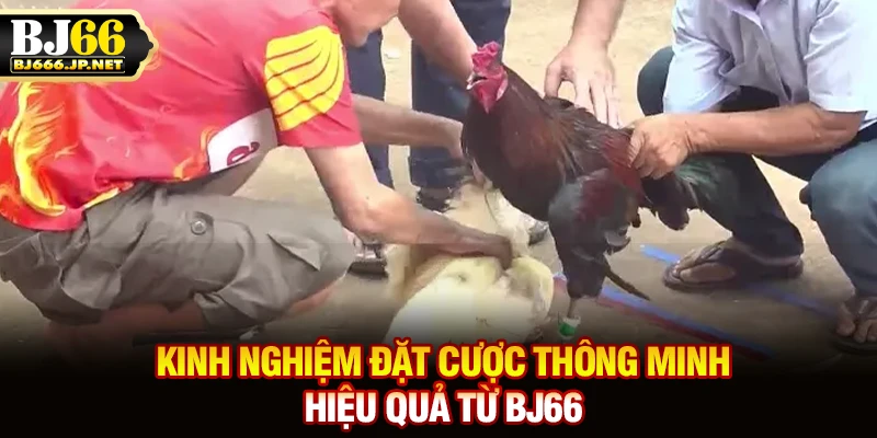 Kinh nghiệm đặt cược thông minh, hiệu quả từ BJ66