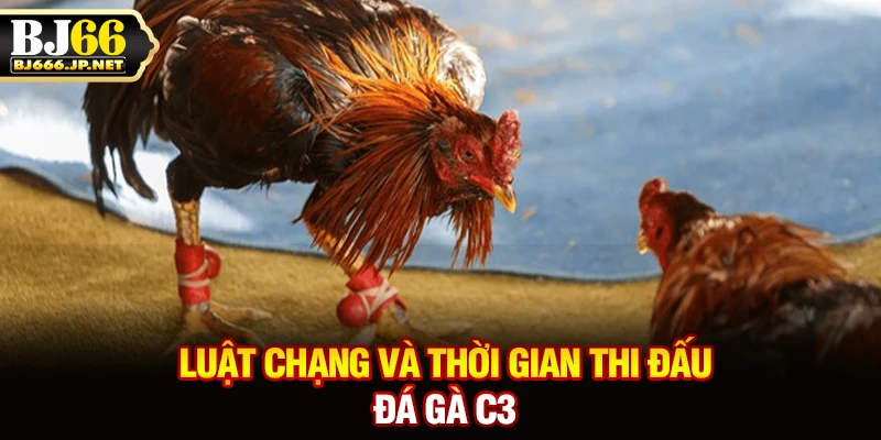 Luật chạng và thời gian thi đấu đá gà C3