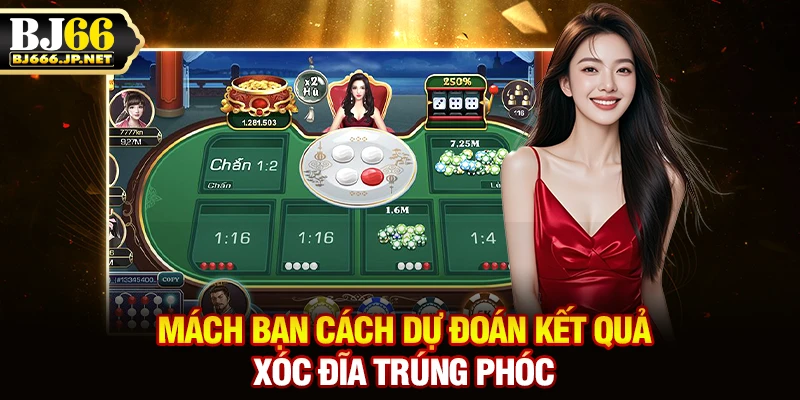 Mách bạn cách dự đoán kết quả xóc đĩa trúng phóc