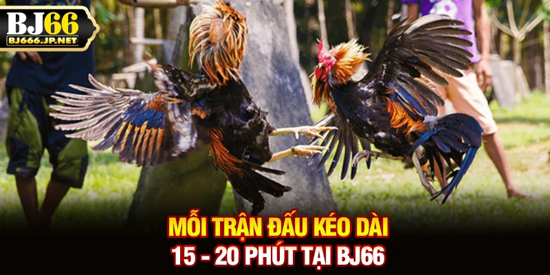 Mỗi trận đấu kéo dài 15 - 20 phút tại BJ66