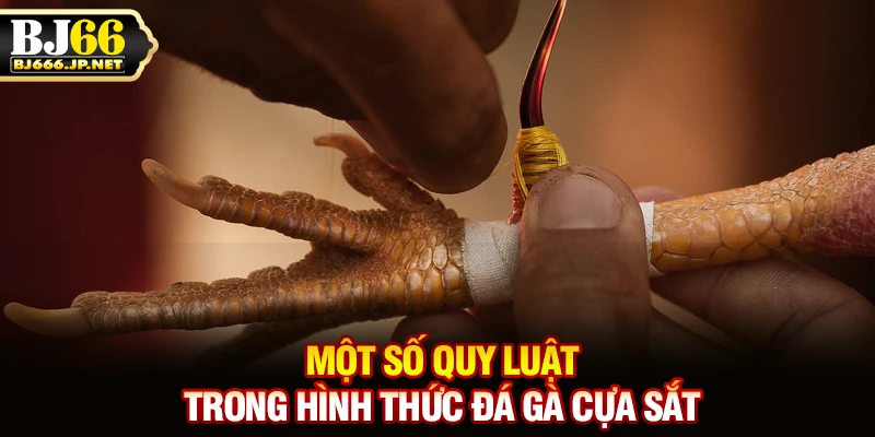 Một số quy luật trong hình thức đá gà cựa sắt