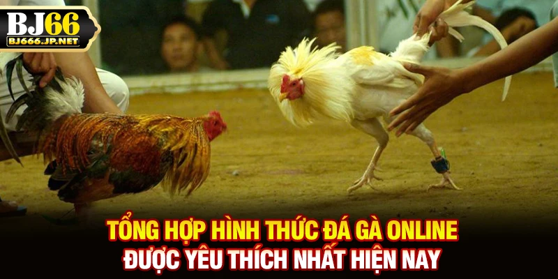 Tổng hợp hình thức đá gà online được yêu thích nhất hiện nay