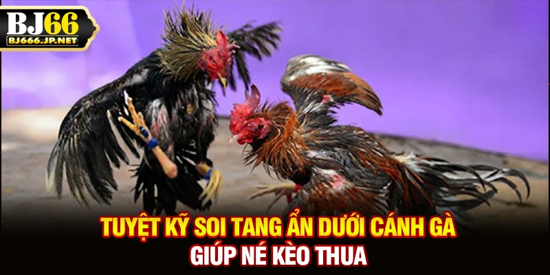 Tuyệt kỹ soi tang ẩn dưới cánh gà giúp né kèo thua